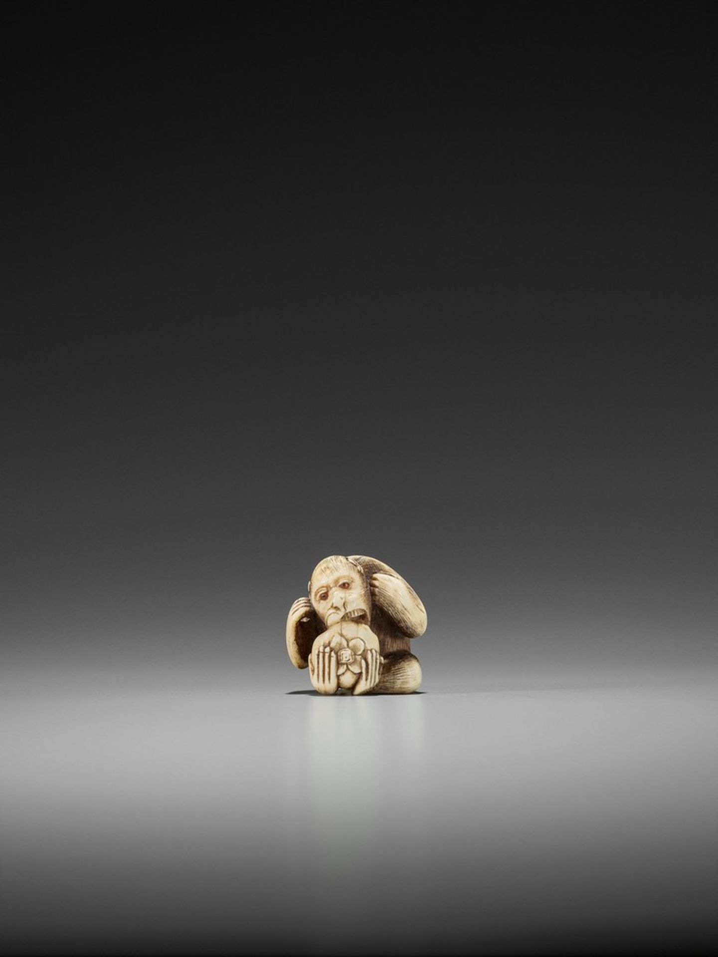 RANMEI: AN IVORY NETSUKE OF A MONKEY WITH PERSIMMON By Ranmei, signed Ranmei 蘭明Japan, Kyoto, 19th - Bild 3 aus 9