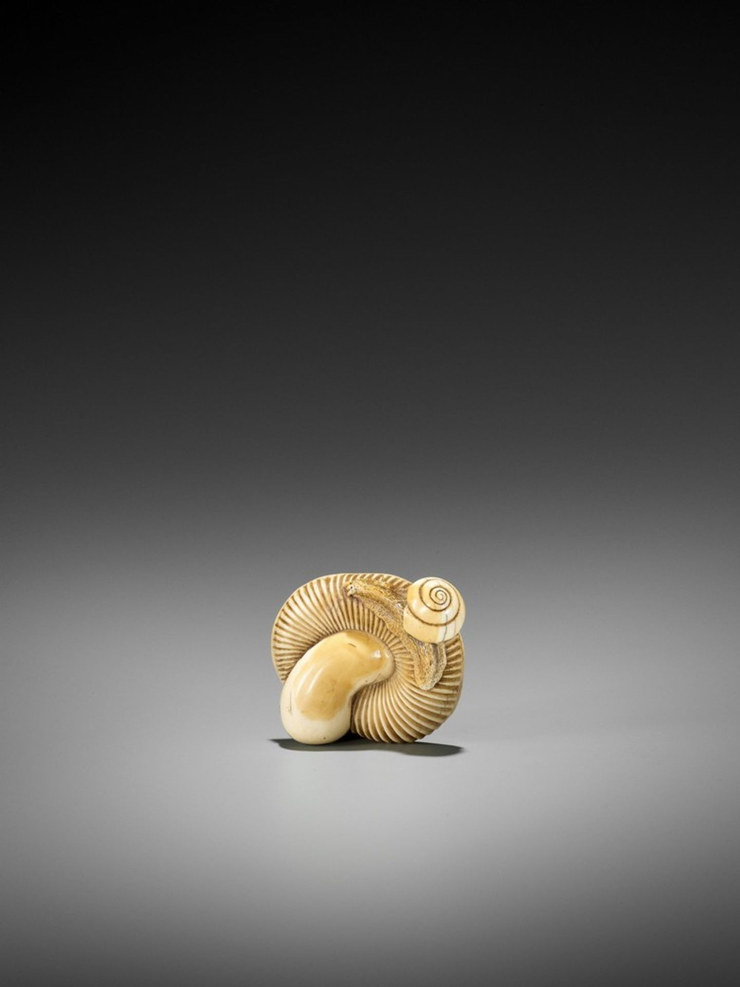 A FINE IVORY NETSUKE OF A SNAIL ON LARGE MUSHROOM UnsignedJapan, early 19th century, Edo period ( - Bild 3 aus 12