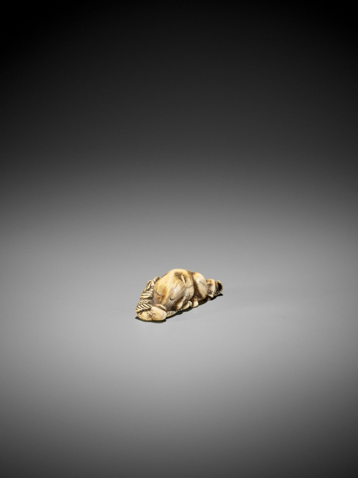 A FINE KYOTO SCHOOL IVORY NETSUKE OF TWO RESTING BOARS UnsignedJapan, Kyoto, 18th century, Edo - Bild 8 aus 8