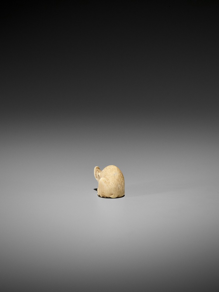 RANICHI: AN EXQUISITE IVORY NETSUKE OF A RECUMBENT BOAR By Ranichi, signed Ranichi 蘭一Japan, Kyoto, - Image 4 of 10