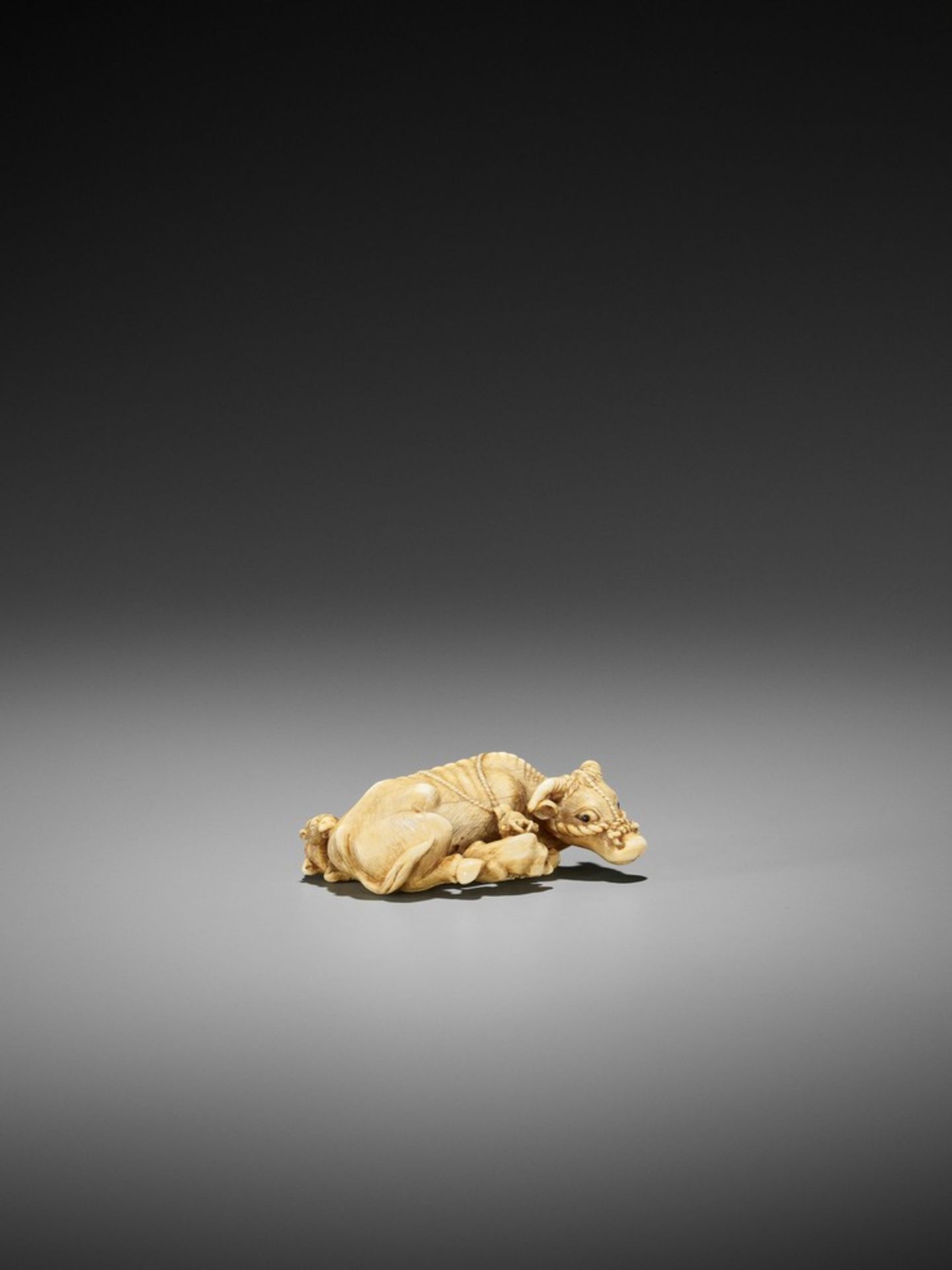 TOMOTADA: A RARE IVORY NETSUKE OF A RECUMBENT COW WITH TWO CALVES Signed Tomotada 友忠Japan, Kyoto,