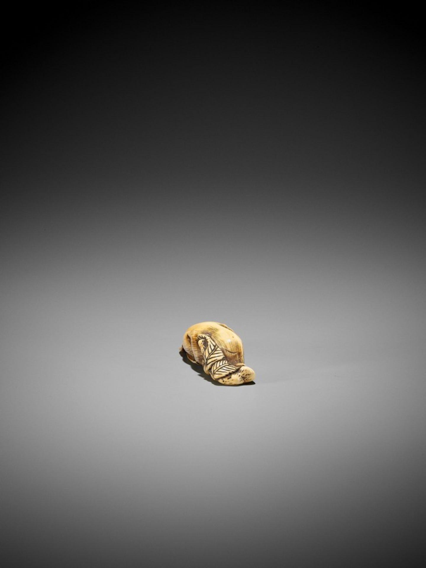 A FINE KYOTO SCHOOL IVORY NETSUKE OF TWO RESTING BOARS UnsignedJapan, Kyoto, 18th century, Edo - Bild 7 aus 8