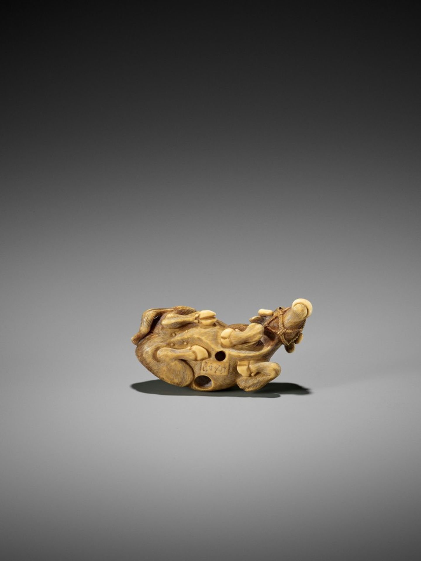 TOMOTADA: A FINE IVORY NETSUKE OF A RECUMBENT COW Signed Tomotada 友忠Japan, Kyoto, late 18th to early - Bild 2 aus 10