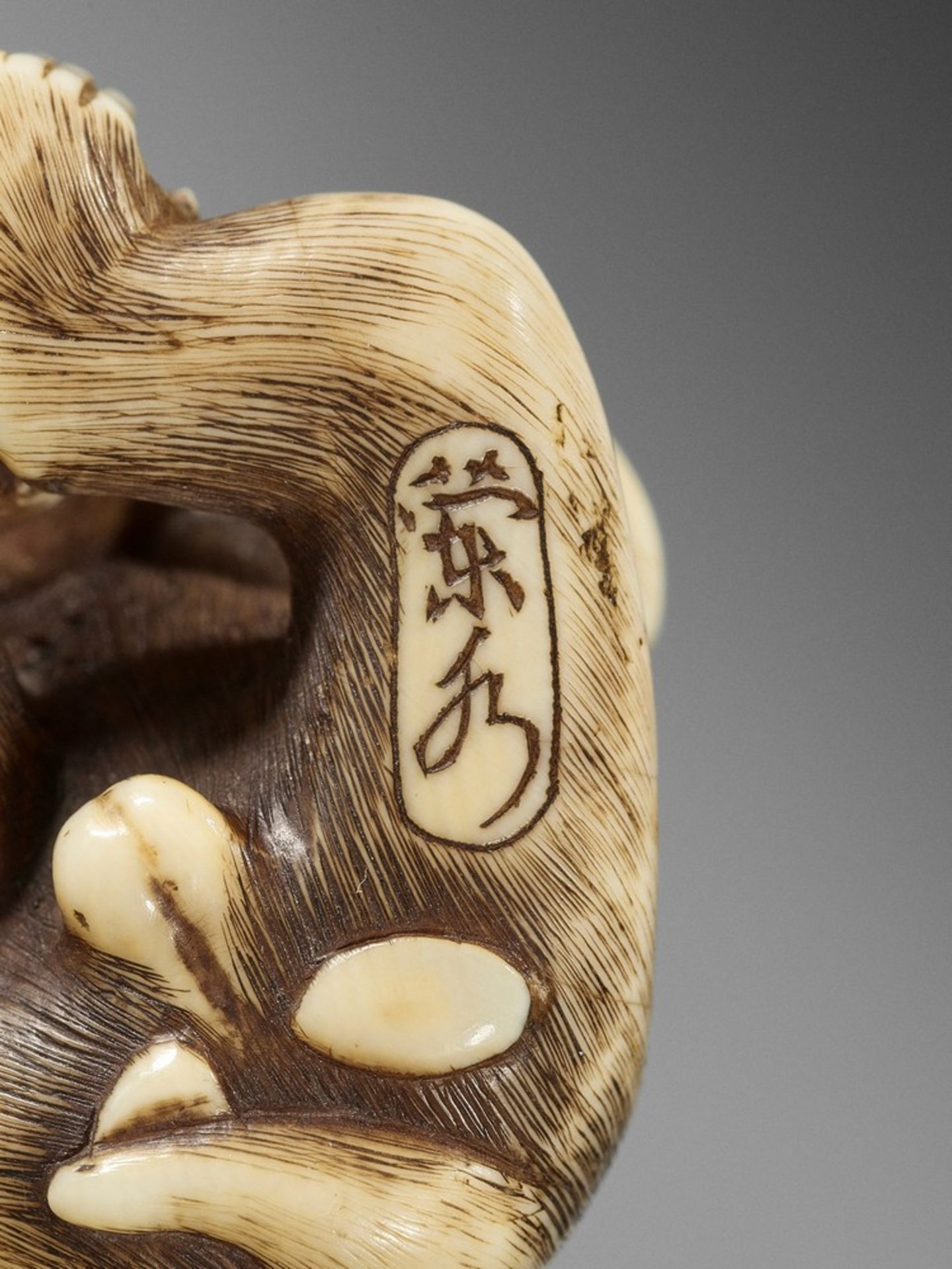 RANMEI: AN IVORY NETSUKE OF A MONKEY WITH PERSIMMON By Ranmei, signed Ranmei 蘭明Japan, Kyoto, 19th - Bild 8 aus 9