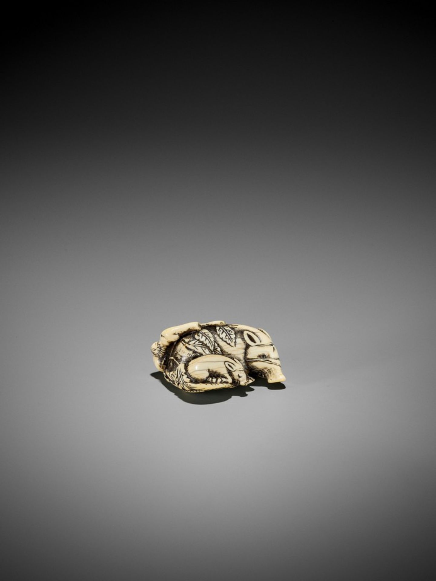 A GOOD KYOTO SCHOOL IVORY NETSUKE OF TWO RESTING BOARS UnsignedJapan, Kyoto, 18th century, Edo