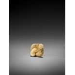 A FINE IVORY NETSUKE OF A SNAIL ON LARGE MUSHROOM UnsignedJapan, early 19th century, Edo period (