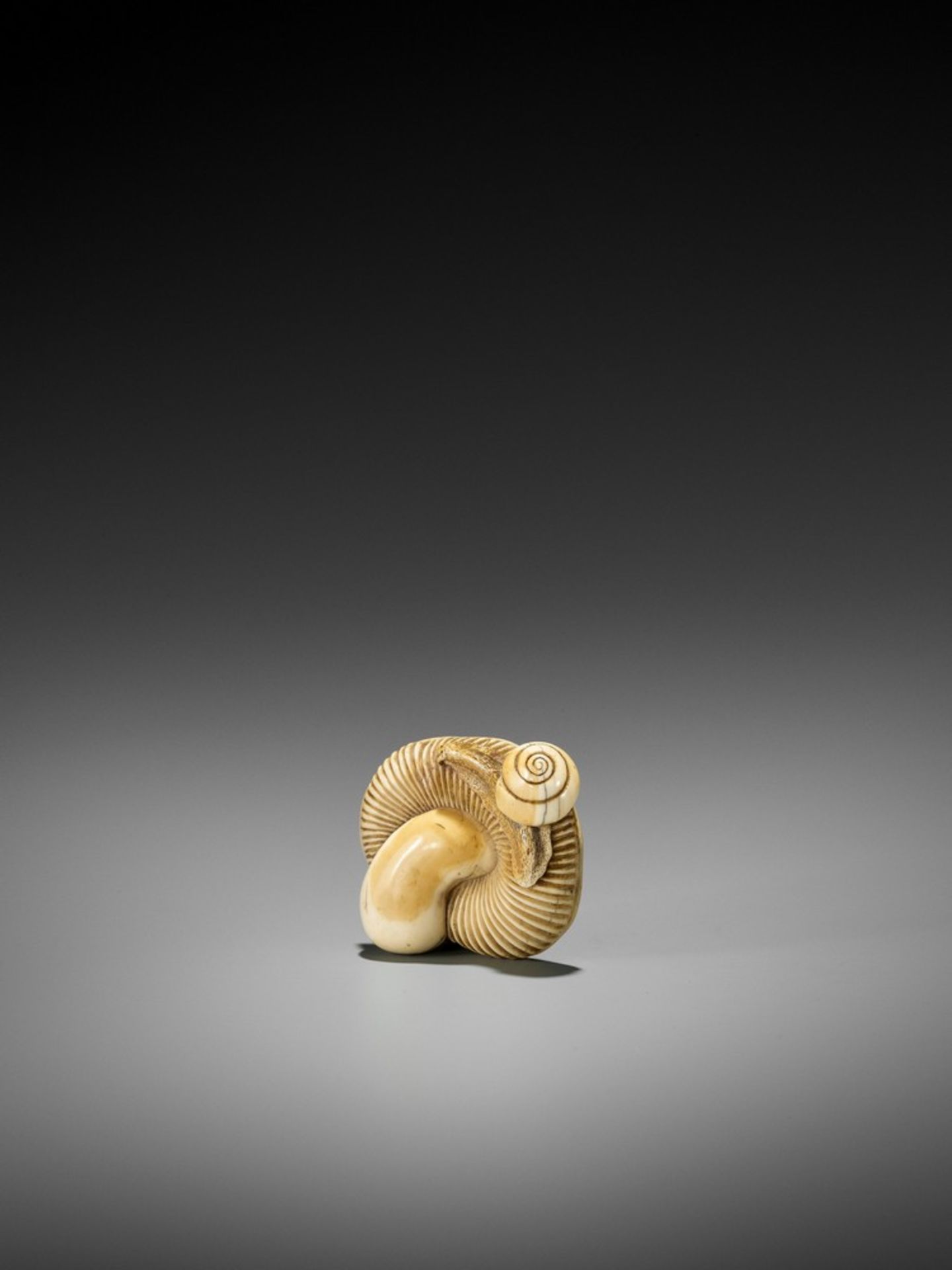 A FINE IVORY NETSUKE OF A SNAIL ON LARGE MUSHROOM UnsignedJapan, early 19th century, Edo period (