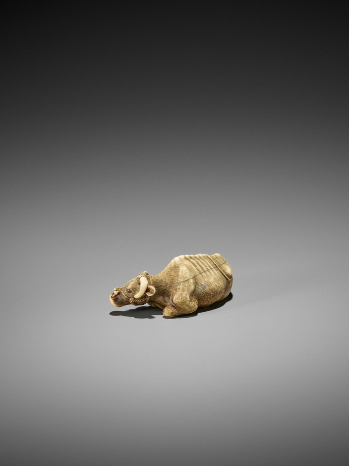 TOMOTADA: A FINE IVORY NETSUKE OF A RECUMBENT COW Signed Tomotada 友忠Japan, Kyoto, late 18th to early - Bild 5 aus 10