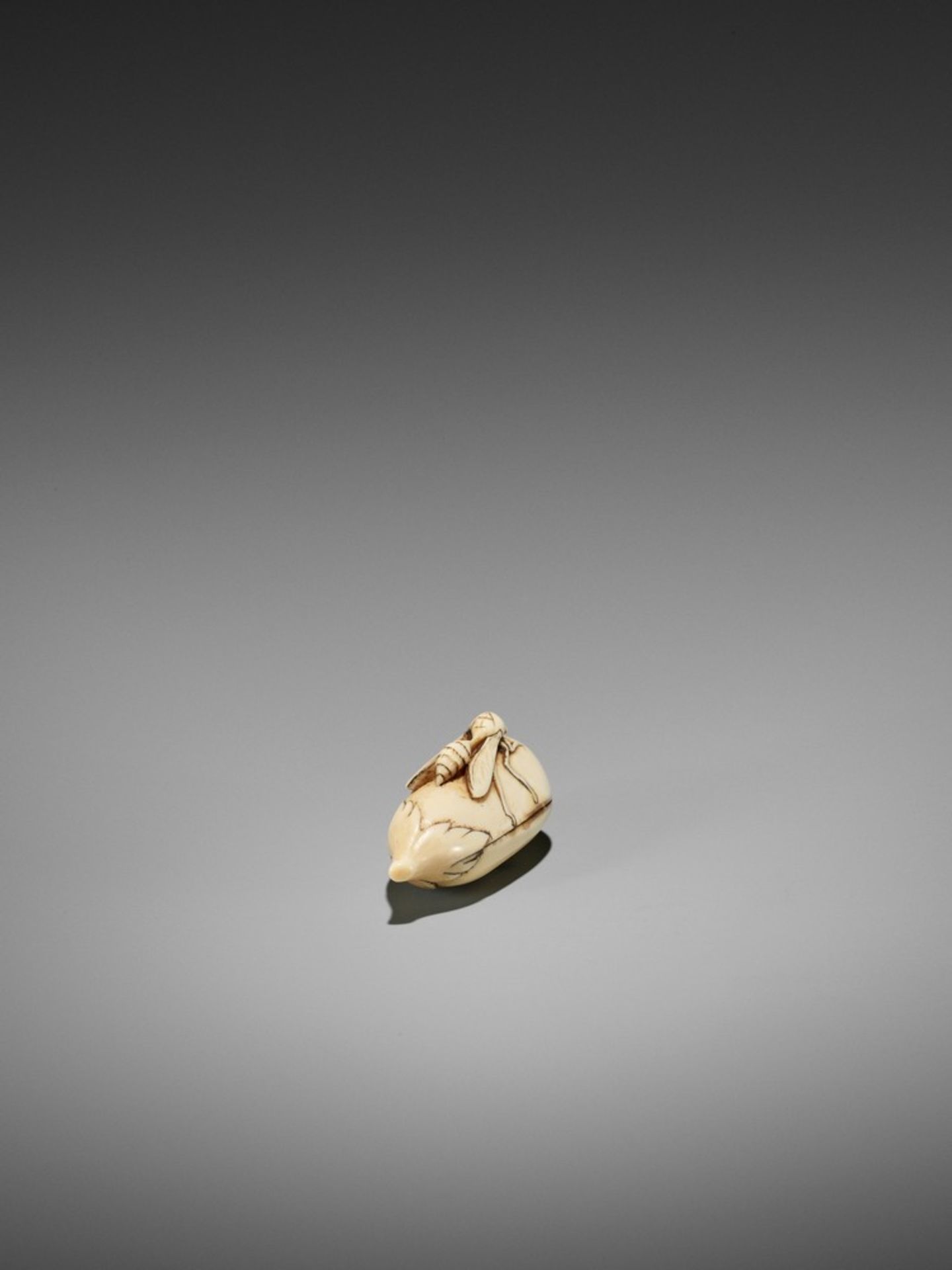 A RARE IVORY NETSUKE OF A WASP ON NASUBI UnsignedJapan, late 18th to early 19th century, Edo - Bild 8 aus 10