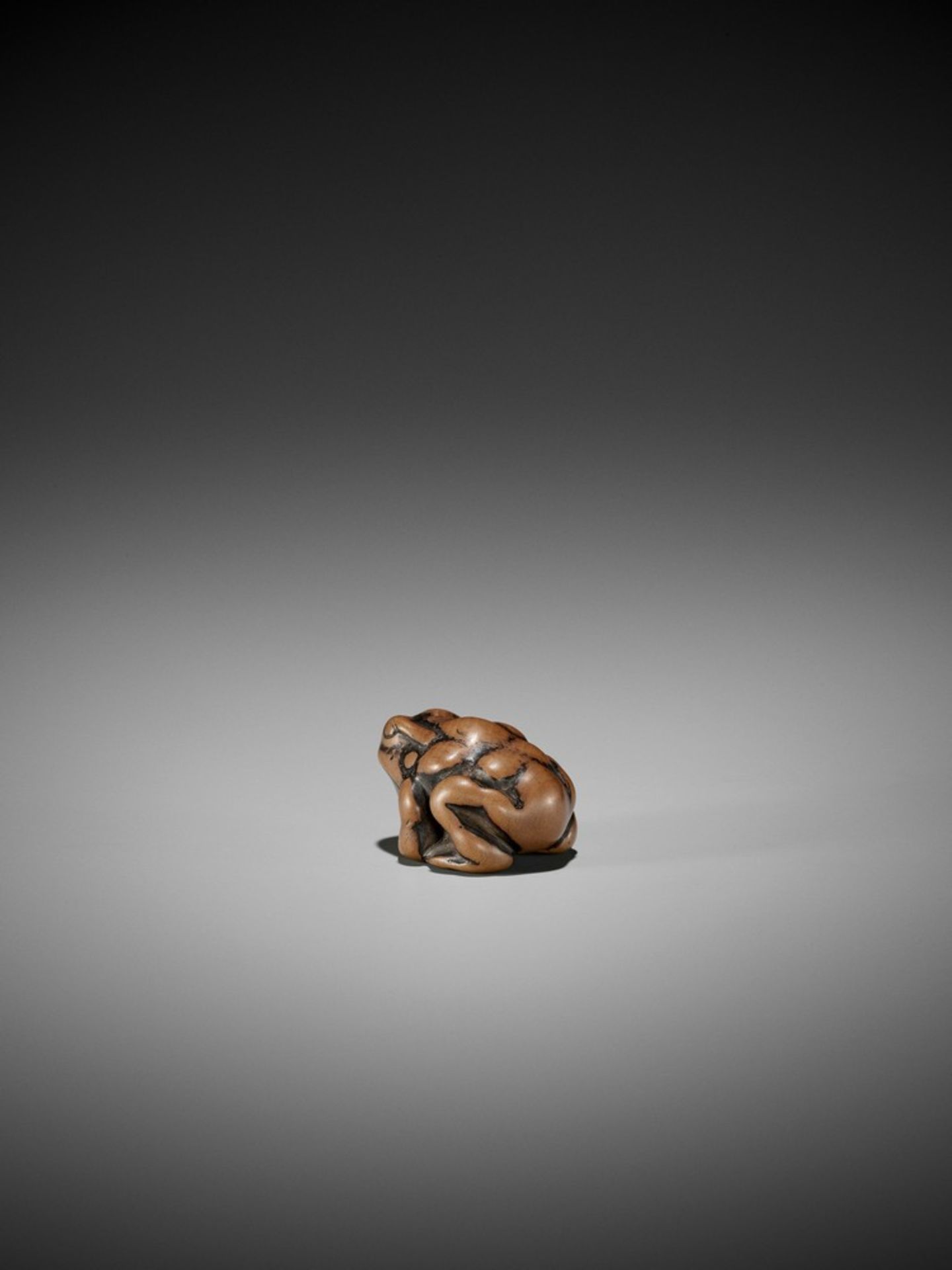 AN EARLY WOOD NETSUKE OF A TOAD UnsignedJapan, 18th century, Edo period (1615-1868)Published: - Bild 2 aus 8
