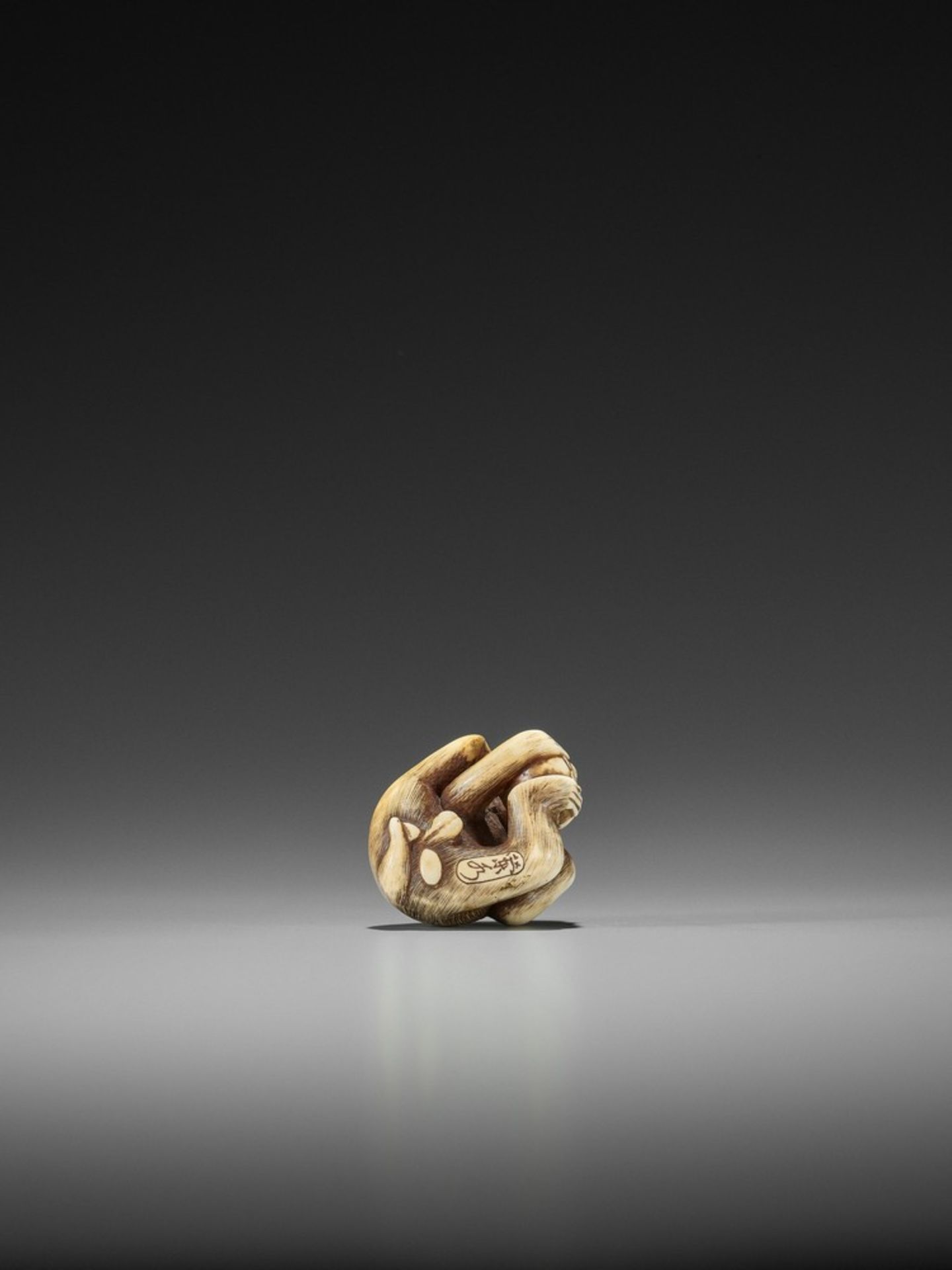 RANMEI: AN IVORY NETSUKE OF A MONKEY WITH PERSIMMON By Ranmei, signed Ranmei 蘭明Japan, Kyoto, 19th - Bild 7 aus 9