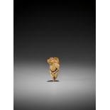 AN EARLY IVORY NETSUKE OF A TANUKI UnsignedJapan, 17th century, Edo period (1615-1868)A pleasingly