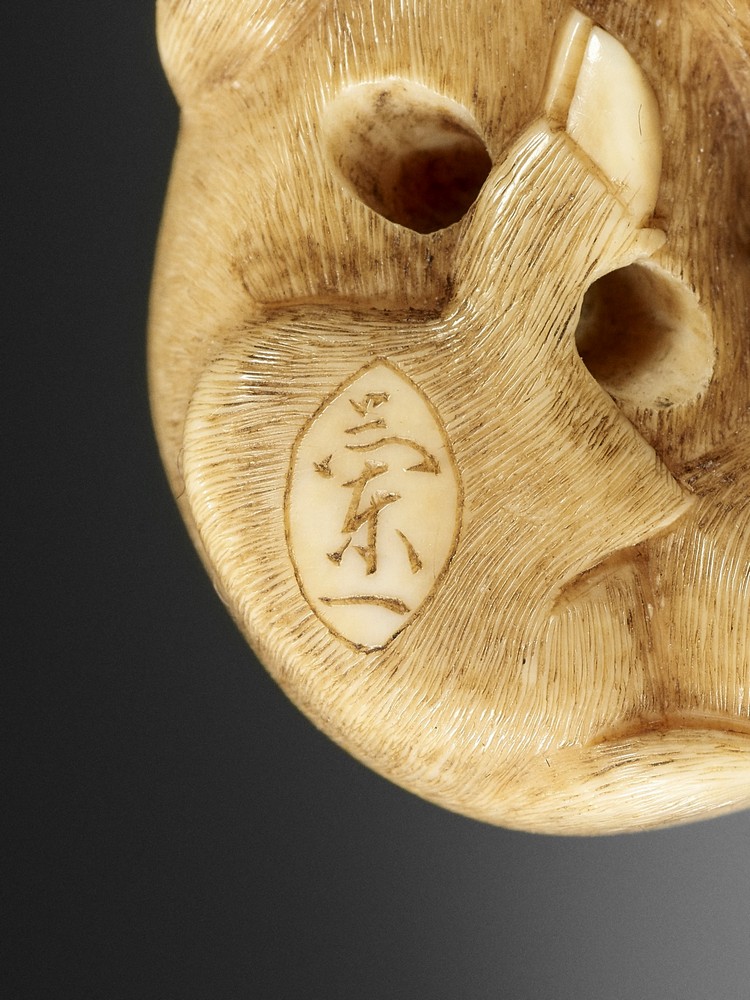 RANICHI: AN EXQUISITE IVORY NETSUKE OF A RECUMBENT BOAR By Ranichi, signed Ranichi 蘭一Japan, Kyoto, - Image 10 of 10