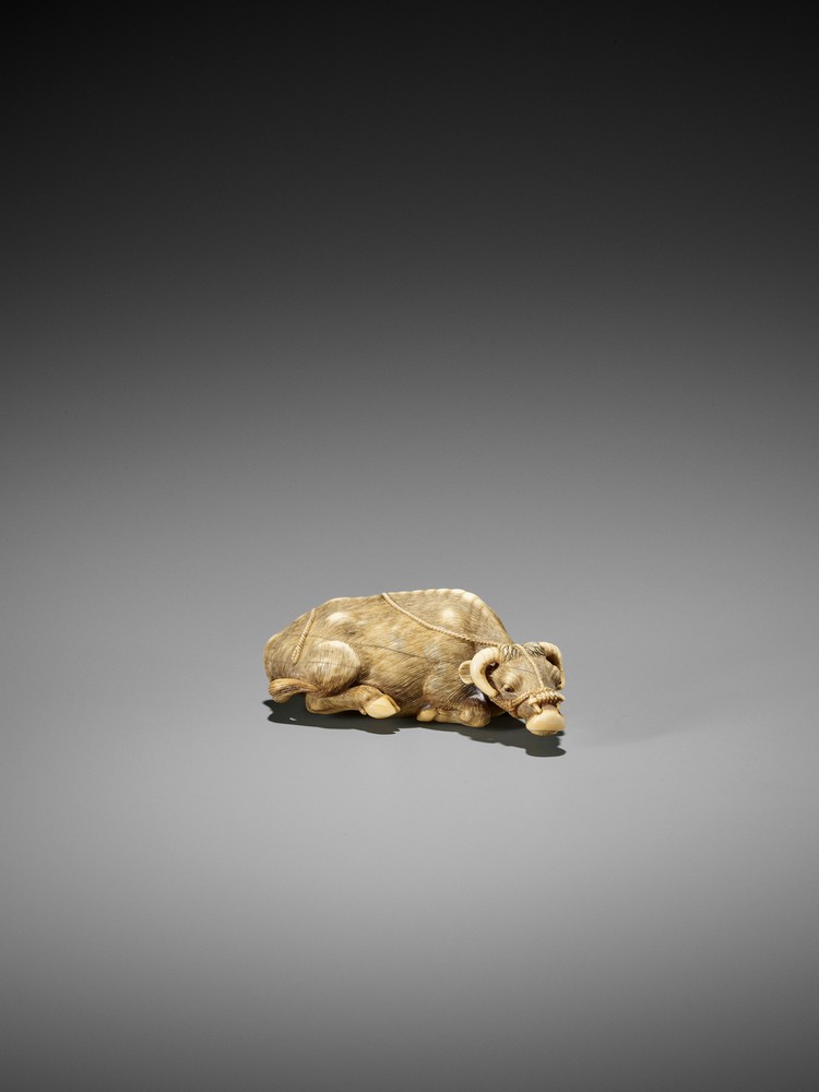 TOMOTADA: A FINE IVORY NETSUKE OF A RECUMBENT COW Signed Tomotada 友忠Japan, Kyoto, late 18th to early