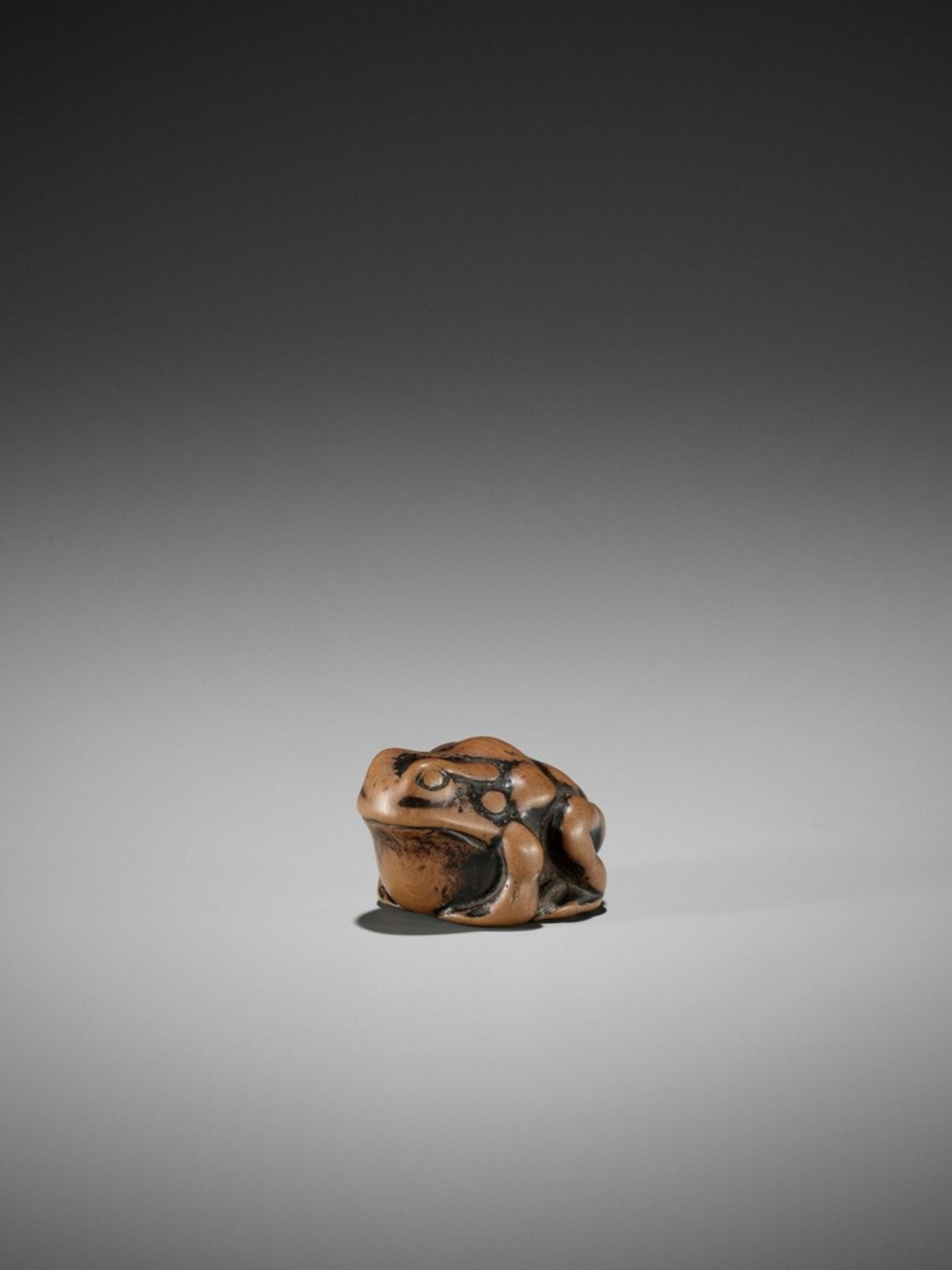 AN EARLY WOOD NETSUKE OF A TOAD UnsignedJapan, 18th century, Edo period (1615-1868)Published: