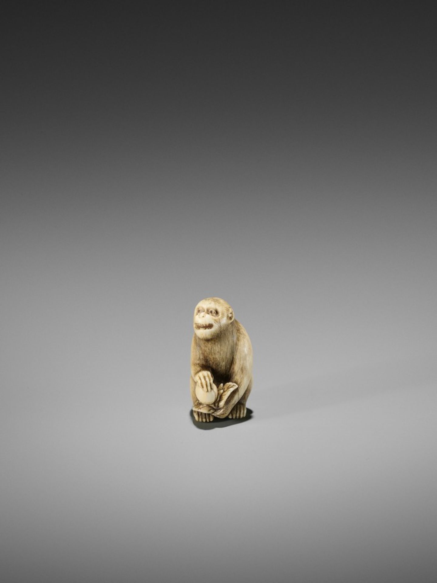 OKATORI: A FINE IVORY NETSUKE OF A MONKEY WITH A PEACH By Okatori, signed Okatori 岡隹Japan, Kyoto, - Bild 3 aus 10