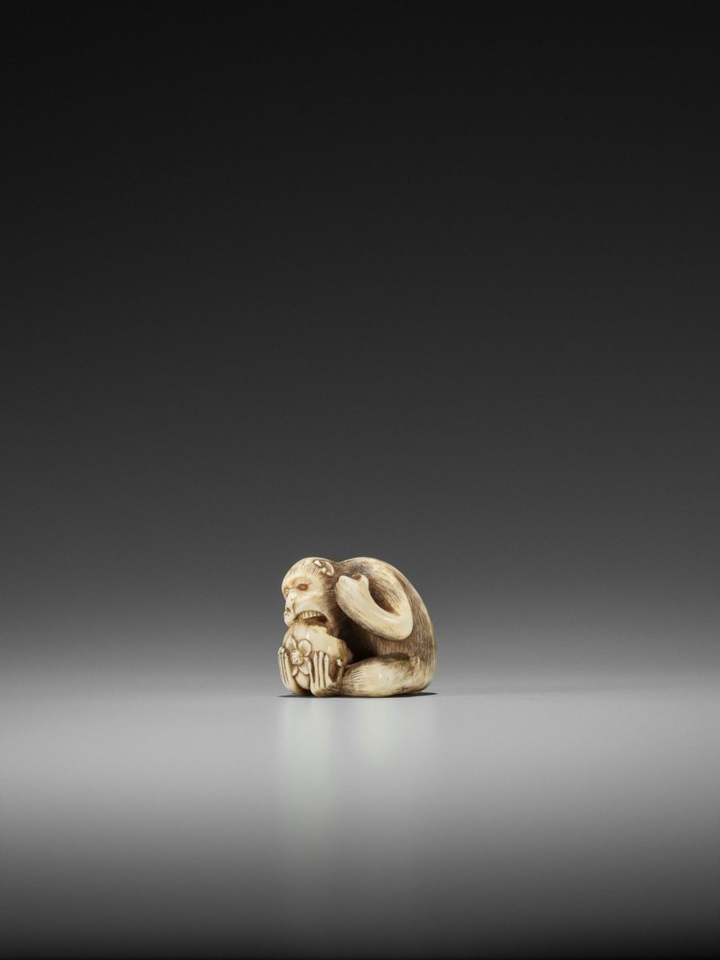 RANMEI: AN IVORY NETSUKE OF A MONKEY WITH PERSIMMON By Ranmei, signed Ranmei 蘭明Japan, Kyoto, 19th - Bild 4 aus 9