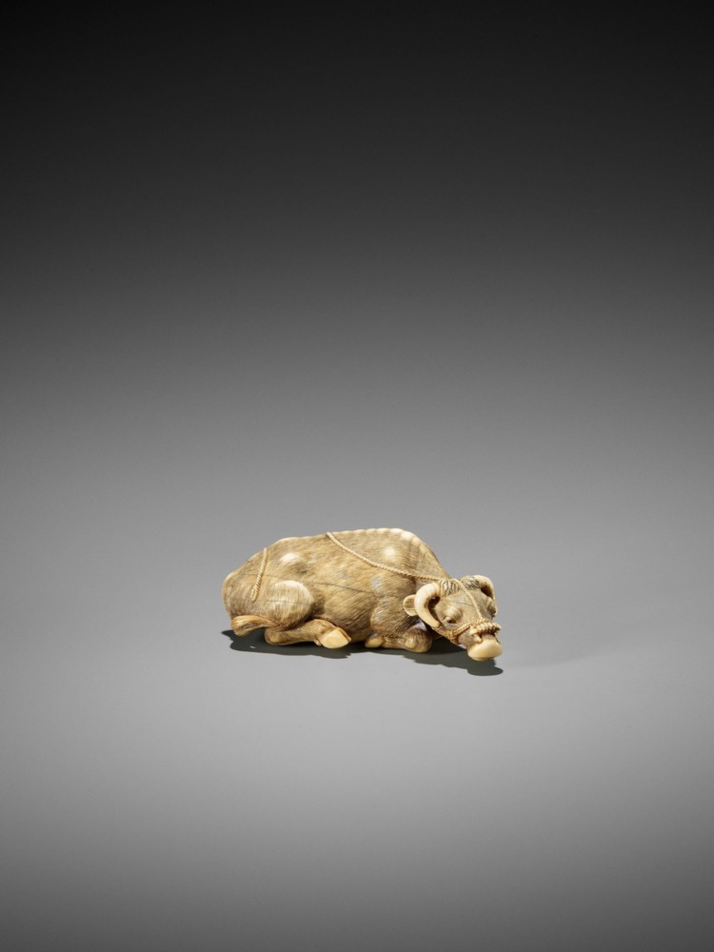 TOMOTADA: A FINE IVORY NETSUKE OF A RECUMBENT COW Signed Tomotada 友忠Japan, Kyoto, late 18th to early - Bild 9 aus 10