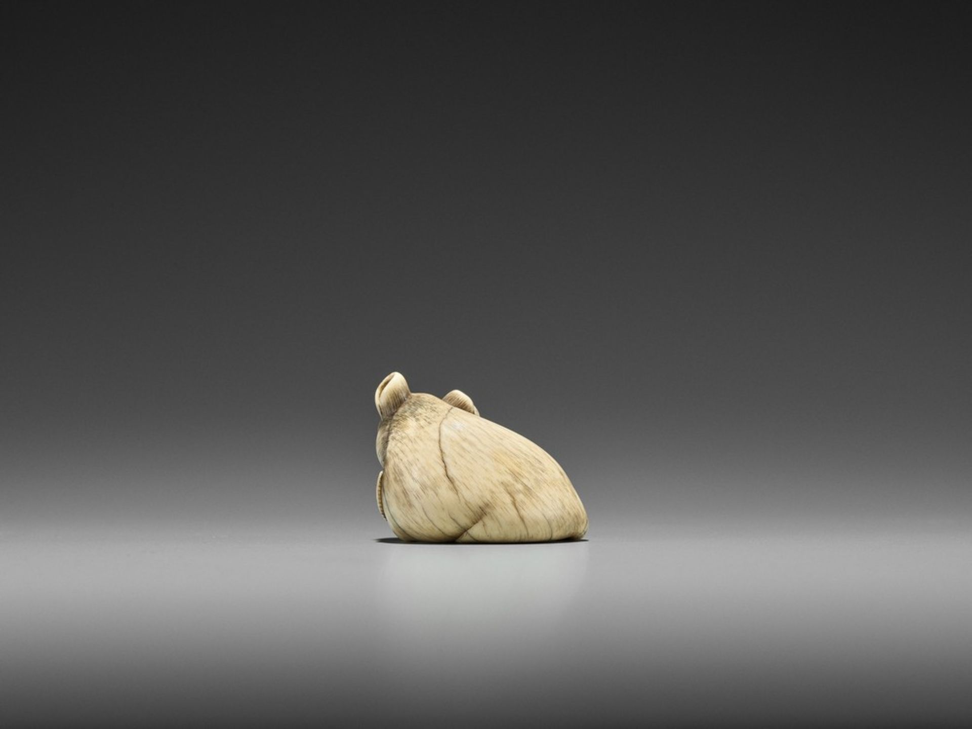 AN EXCEPTIONAL KYOTO SCHOOL IVORY NETSUKE OF A RAT UnsignedJapan, Kyoto, late 18th century, Edo - Bild 6 aus 11