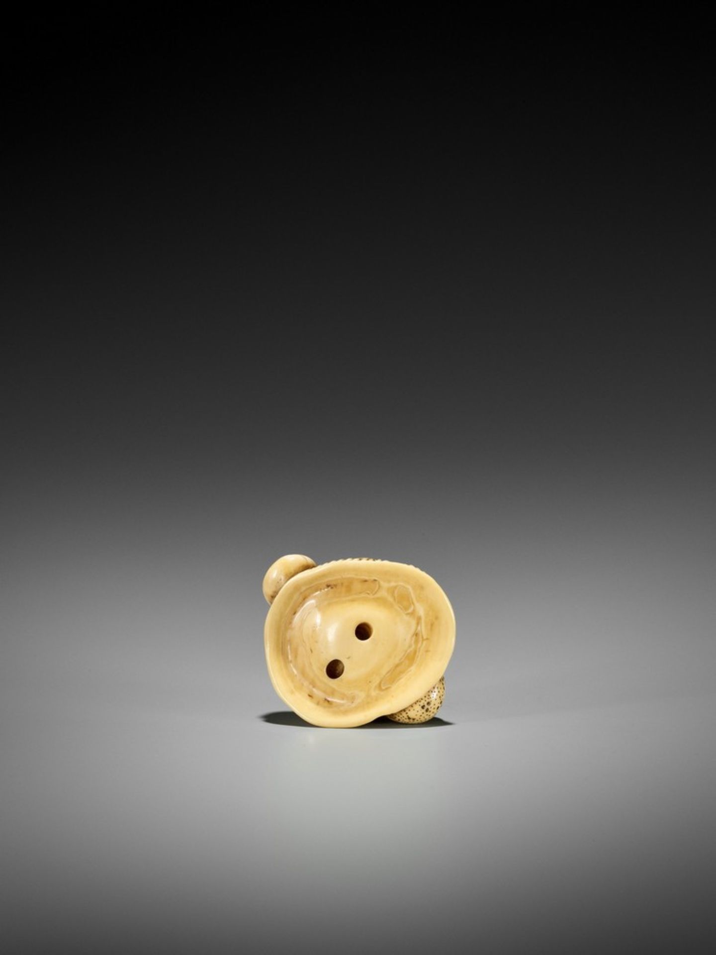 A FINE IVORY NETSUKE OF A SNAIL ON LARGE MUSHROOM UnsignedJapan, early 19th century, Edo period ( - Bild 2 aus 12