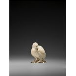 KOGETSU: A FINE IVORY OKIMONO OF A PREENING QUAIL By Kogetsu, signed KogetsuJapan, Tokyo, Meiji