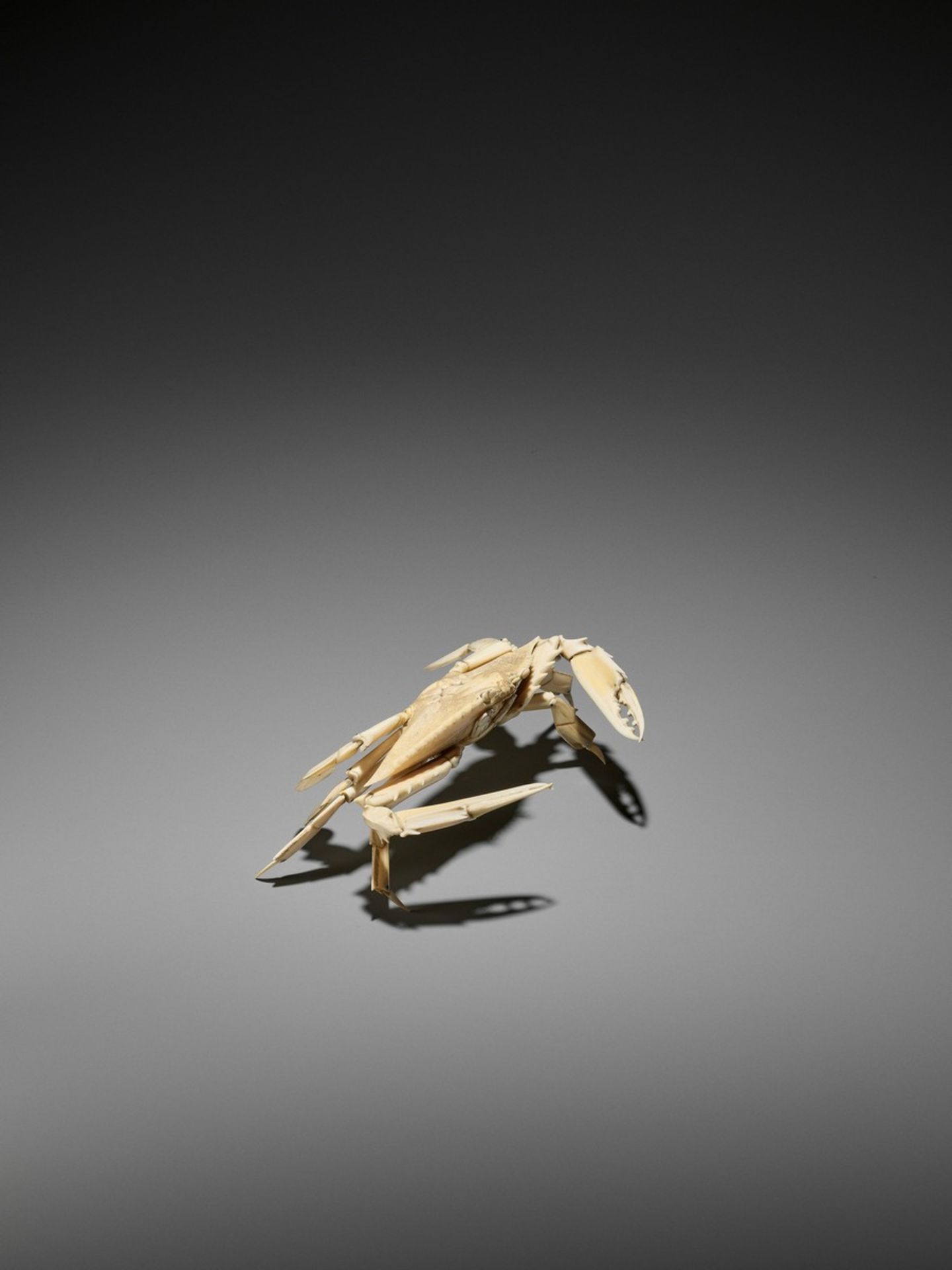 AN ARTICULATED IVORY OKIMONO OF A CRAB WITH WIDE CARAPACE Japan, Meiji period (1868-1912)The crab - Bild 5 aus 13