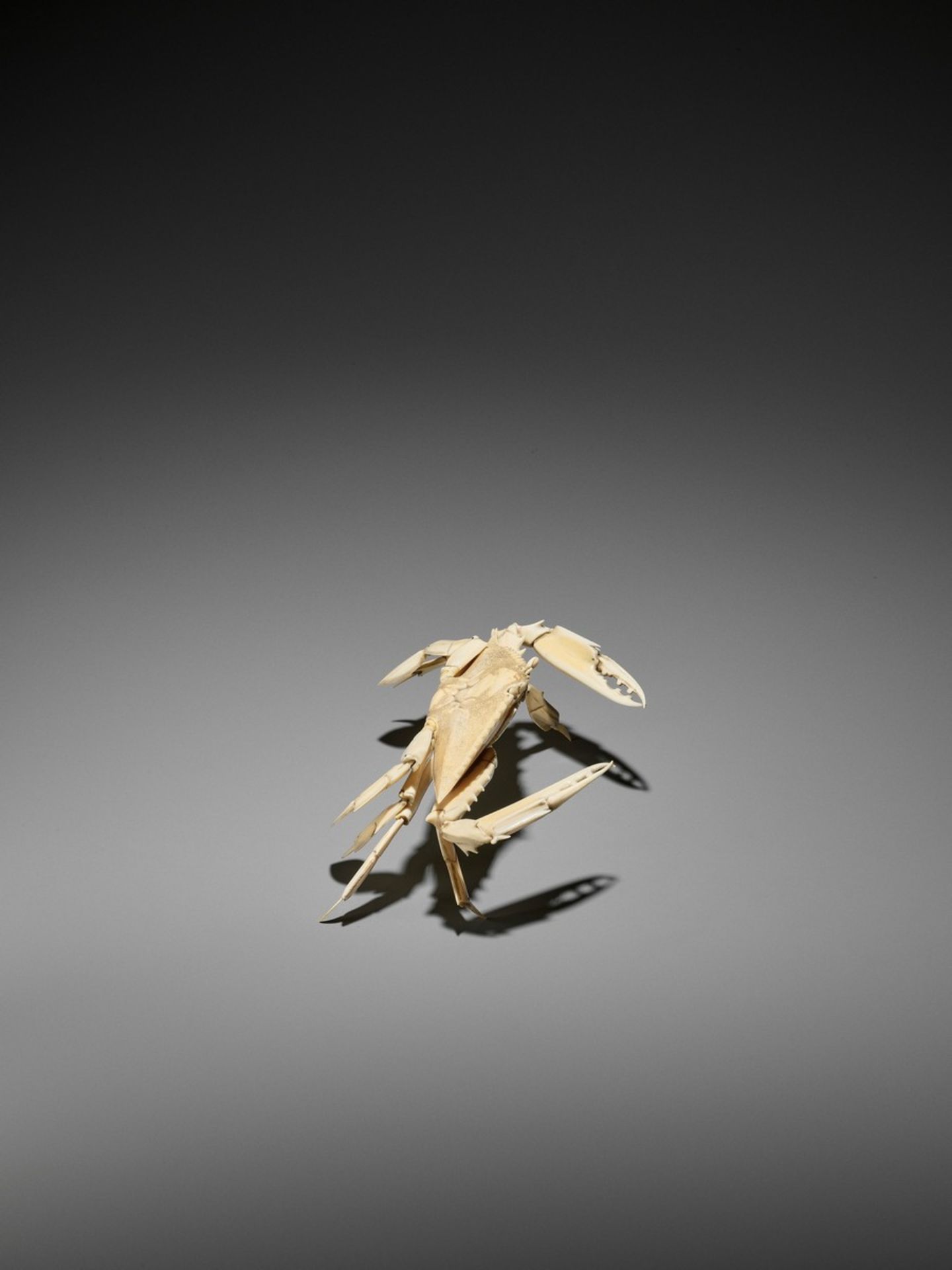 AN ARTICULATED IVORY OKIMONO OF A CRAB WITH WIDE CARAPACE Japan, Meiji period (1868-1912)The crab - Bild 6 aus 13