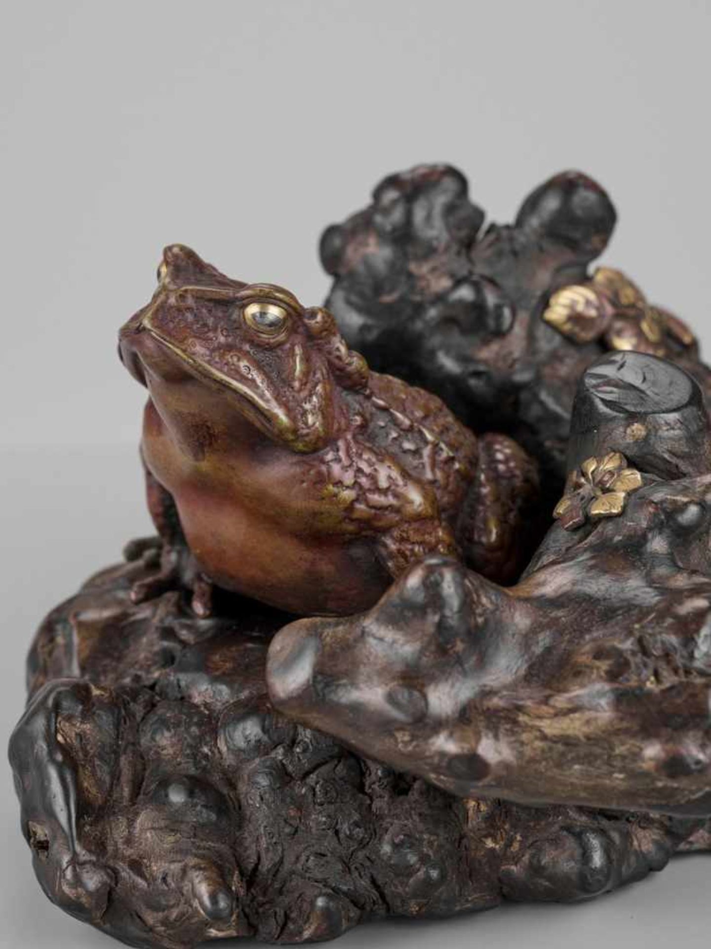 A FINE PARCEL-GILT BRONZE AND ROOT WOOD OKIMONO OF A TOAD Japan, Meiji period (1868-1912)The toad - Image 2 of 12