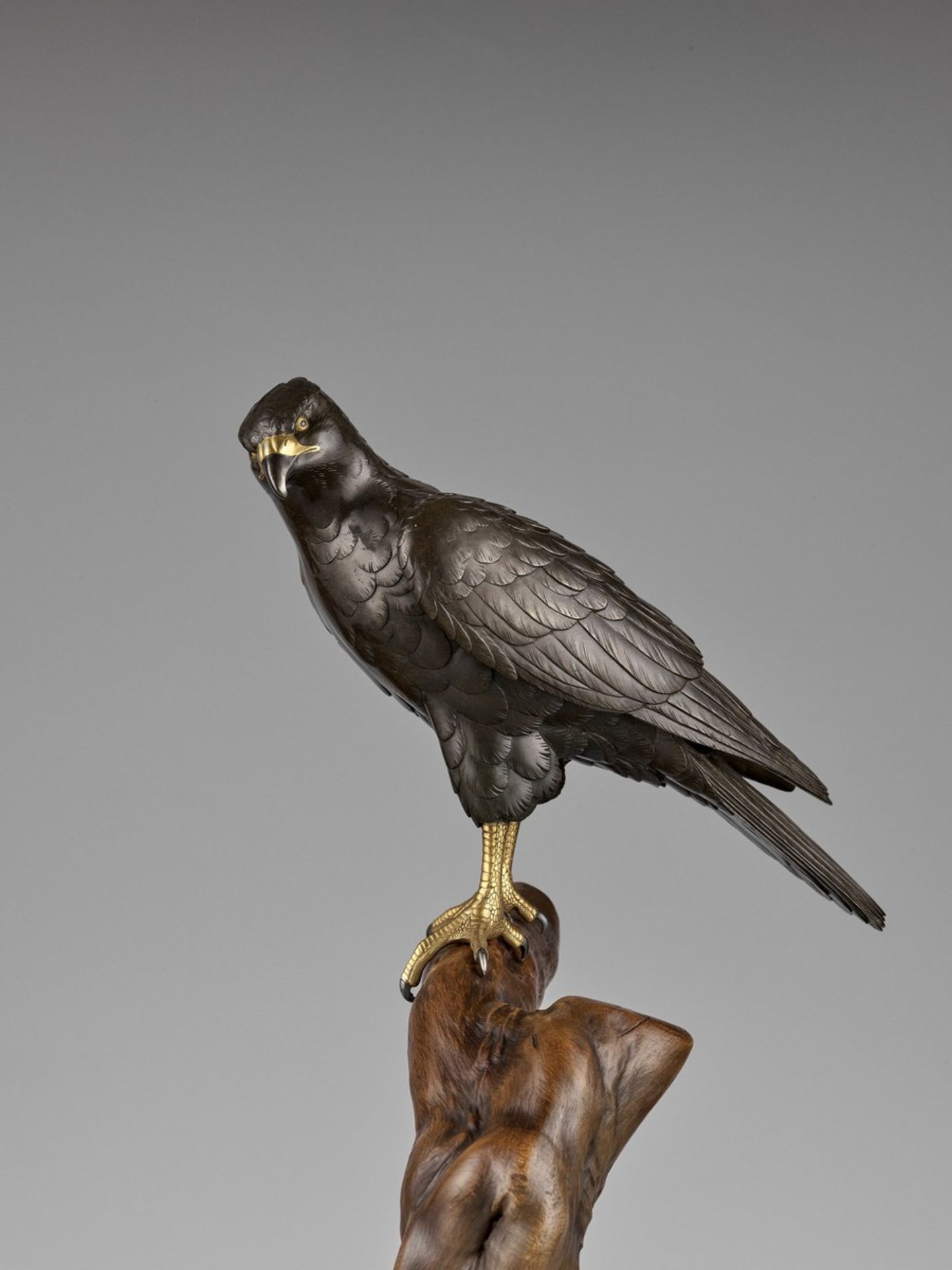 TSUNEHARU: AN IMPRESSIVE PARCEL-GILT AND PATINATED BRONZE OKIMONO OF A KESTREL By Tsuneharo, - Bild 3 aus 12