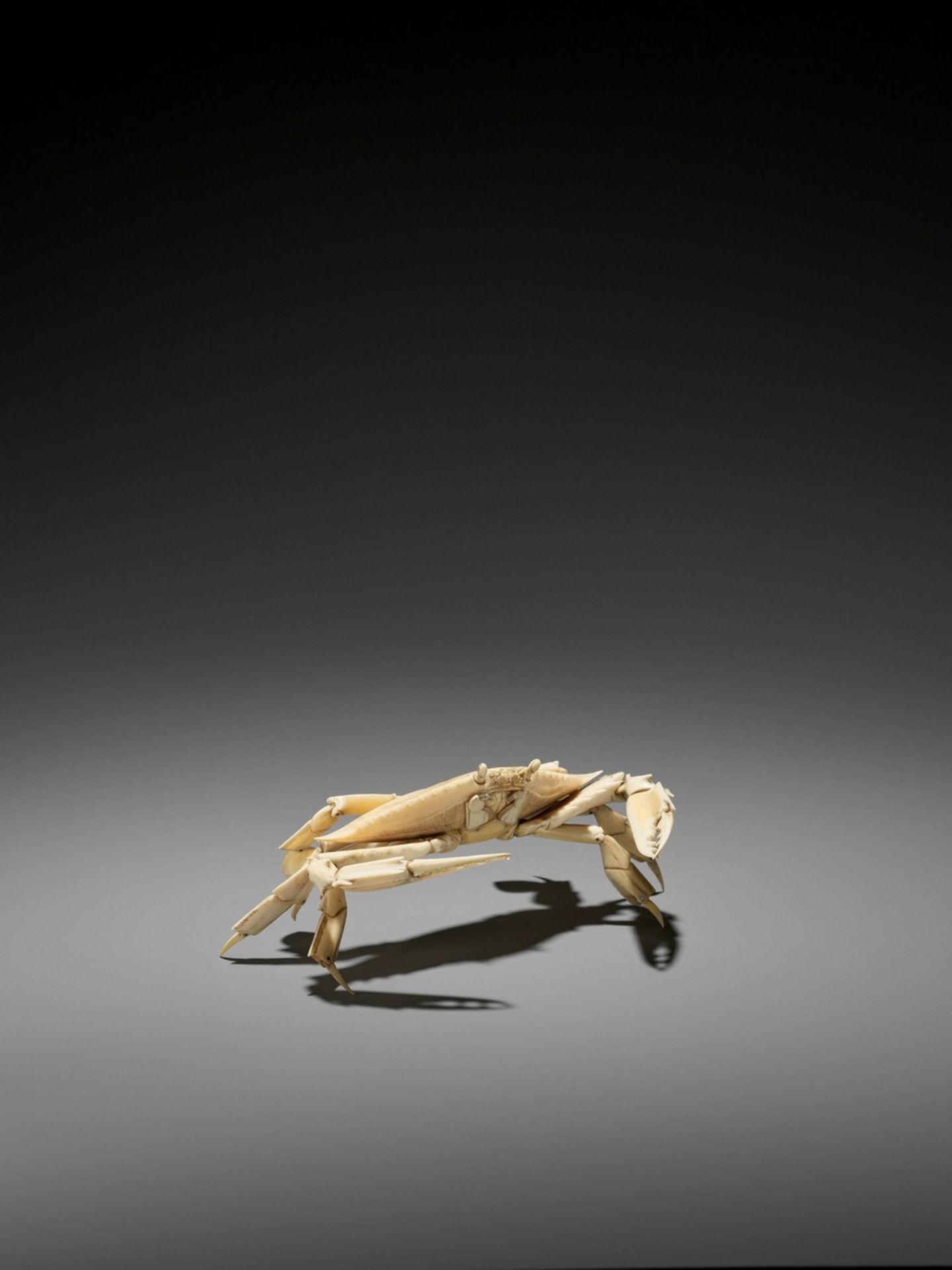 AN ARTICULATED IVORY OKIMONO OF A CRAB WITH WIDE CARAPACE Japan, Meiji period (1868-1912)The crab - Bild 2 aus 13
