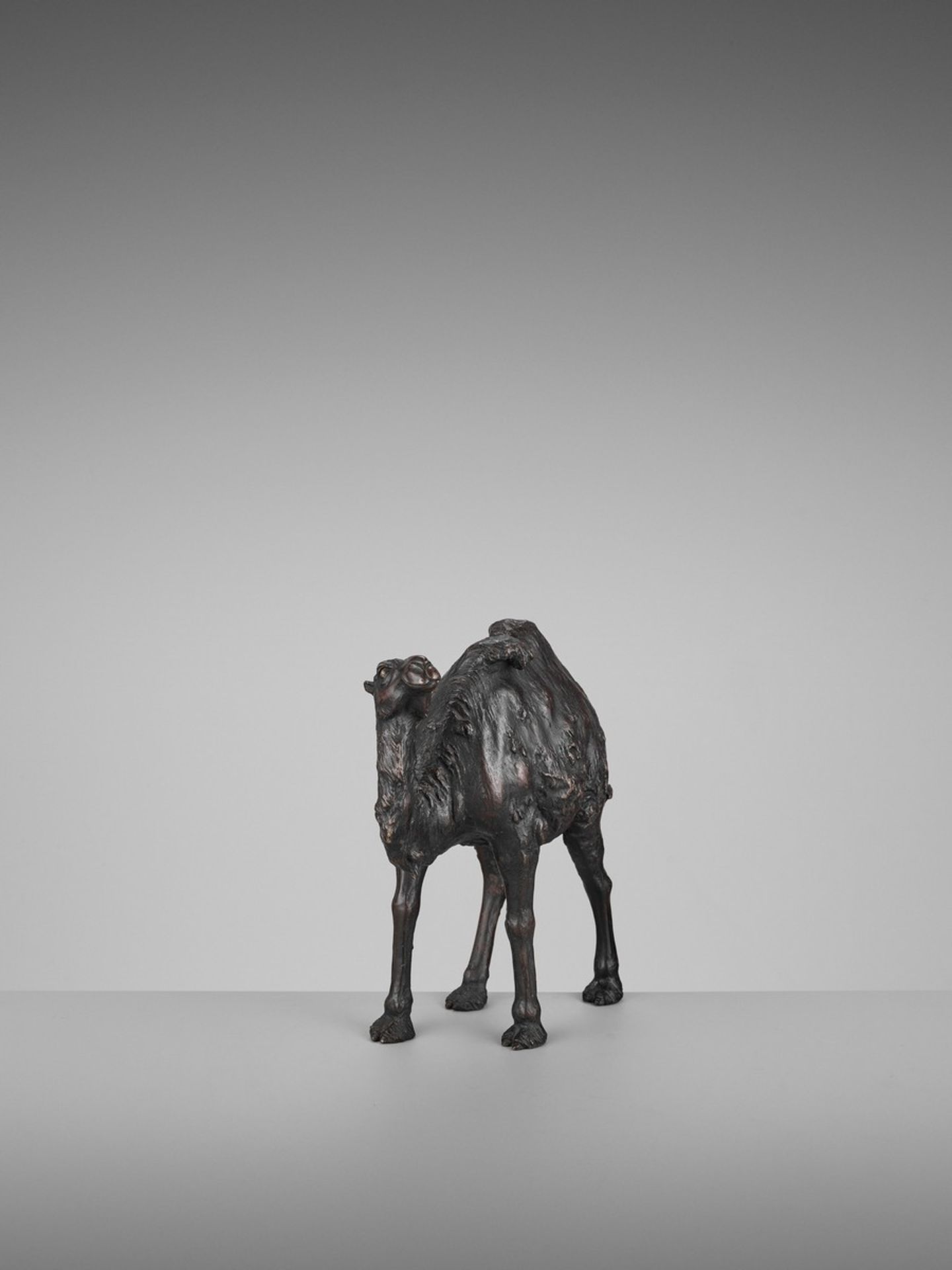 GENRYUSAI SEIYA: A RARE PATINATED BRONZE OKIMONO OF A BACTRIAN CAMEL By Genryusai Seiya, signed - Bild 9 aus 12