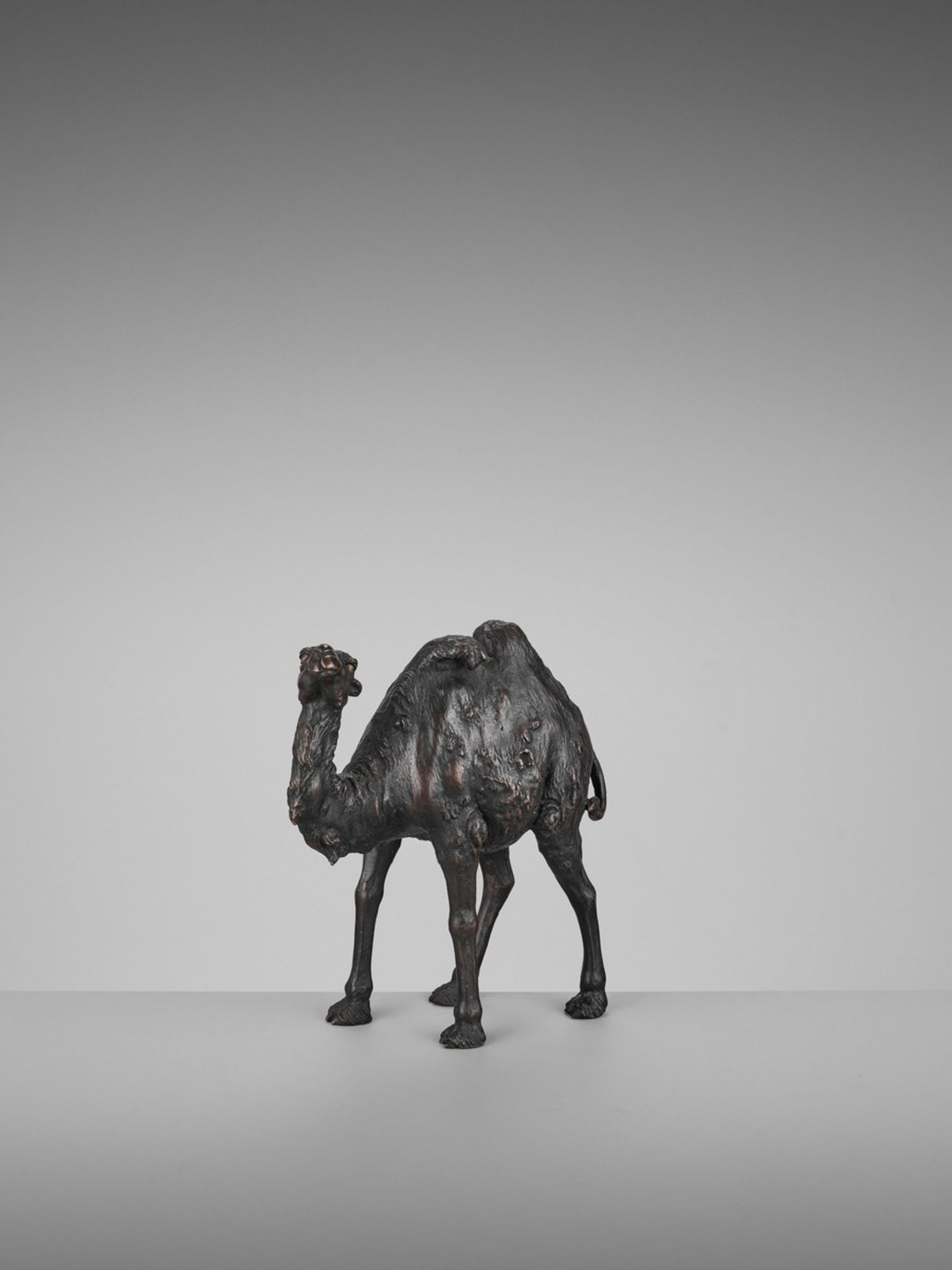 GENRYUSAI SEIYA: A RARE PATINATED BRONZE OKIMONO OF A BACTRIAN CAMEL By Genryusai Seiya, signed - Bild 3 aus 12