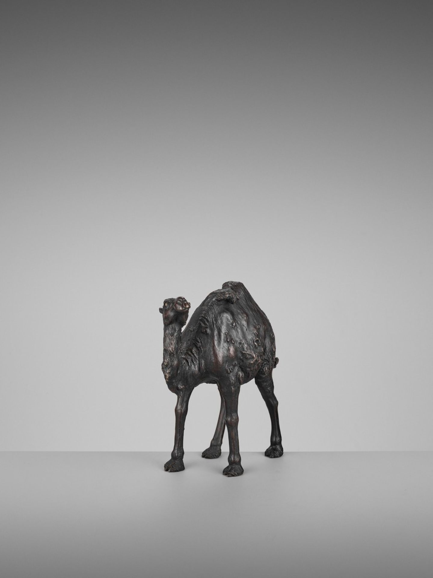 GENRYUSAI SEIYA: A RARE PATINATED BRONZE OKIMONO OF A BACTRIAN CAMEL By Genryusai Seiya, signed - Bild 10 aus 12