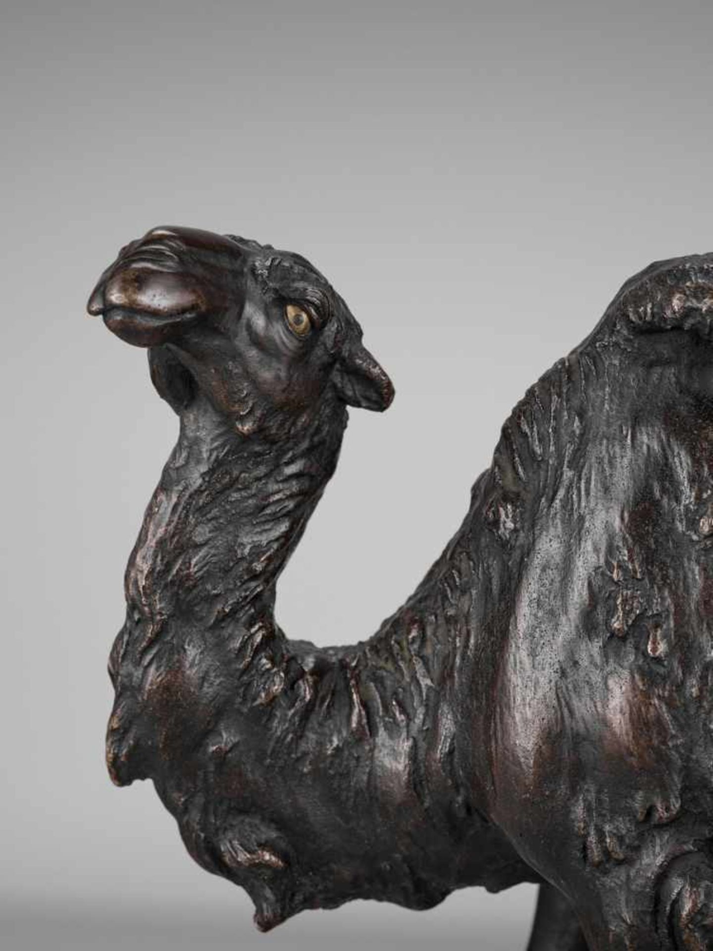 GENRYUSAI SEIYA: A RARE PATINATED BRONZE OKIMONO OF A BACTRIAN CAMEL By Genryusai Seiya, signed - Bild 2 aus 12