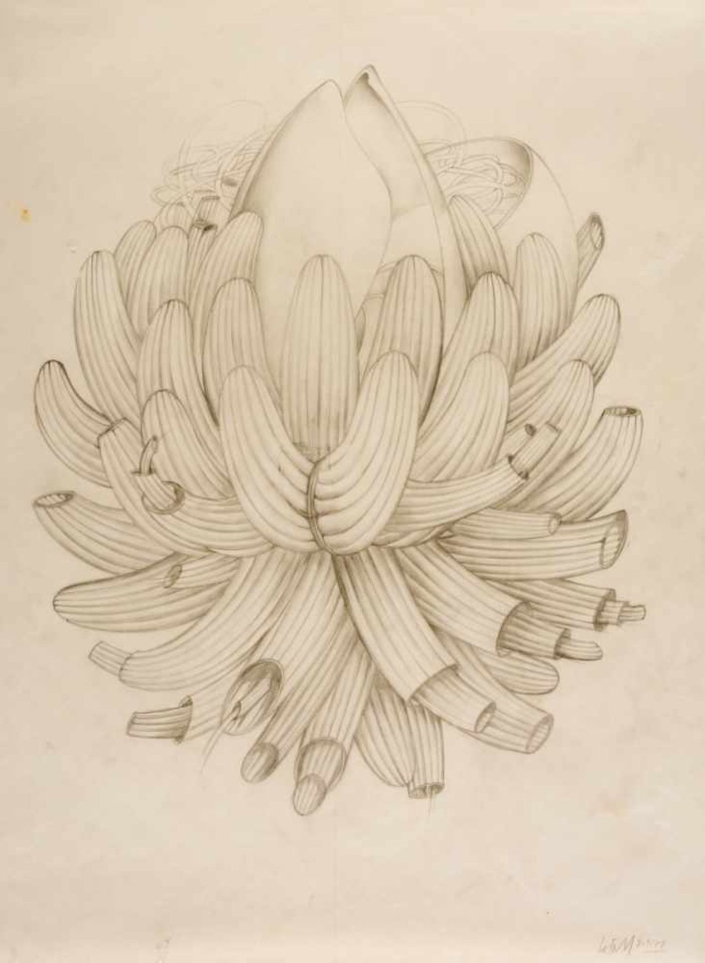 Alain LE FOLL (1934-1981), Surreal plant, Pencil on paper, signed and dated 8.9.71, 56 x44 cmAlain