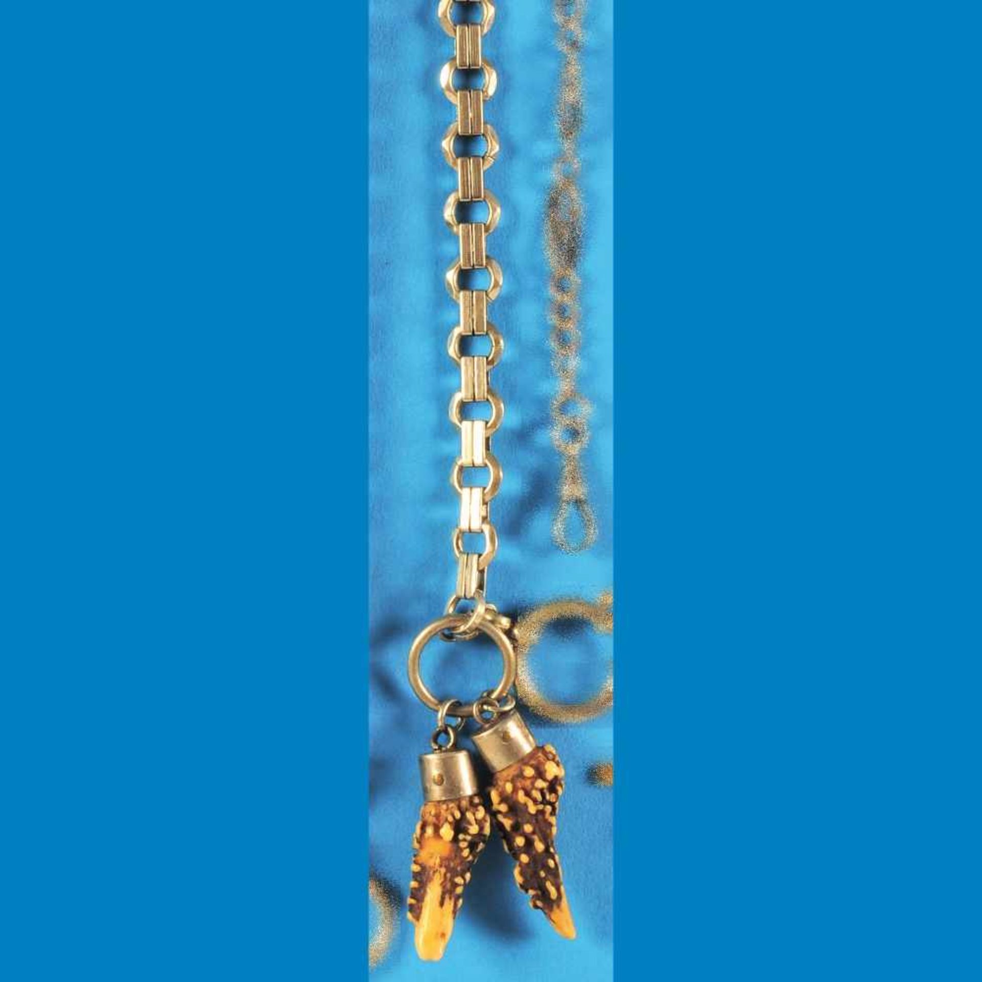 Watch chain with 2 deer teeth as pendantTaschenuhrkette mit 2 Grandeln als Anhänger (7089),