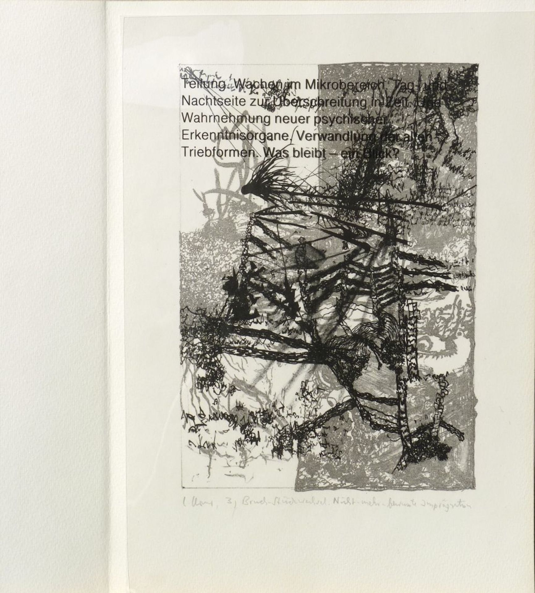 Claus/Sobolewski, Calrfriedrich/Klaus: "Dialoge II", 1990 - Bild 7 aus 13