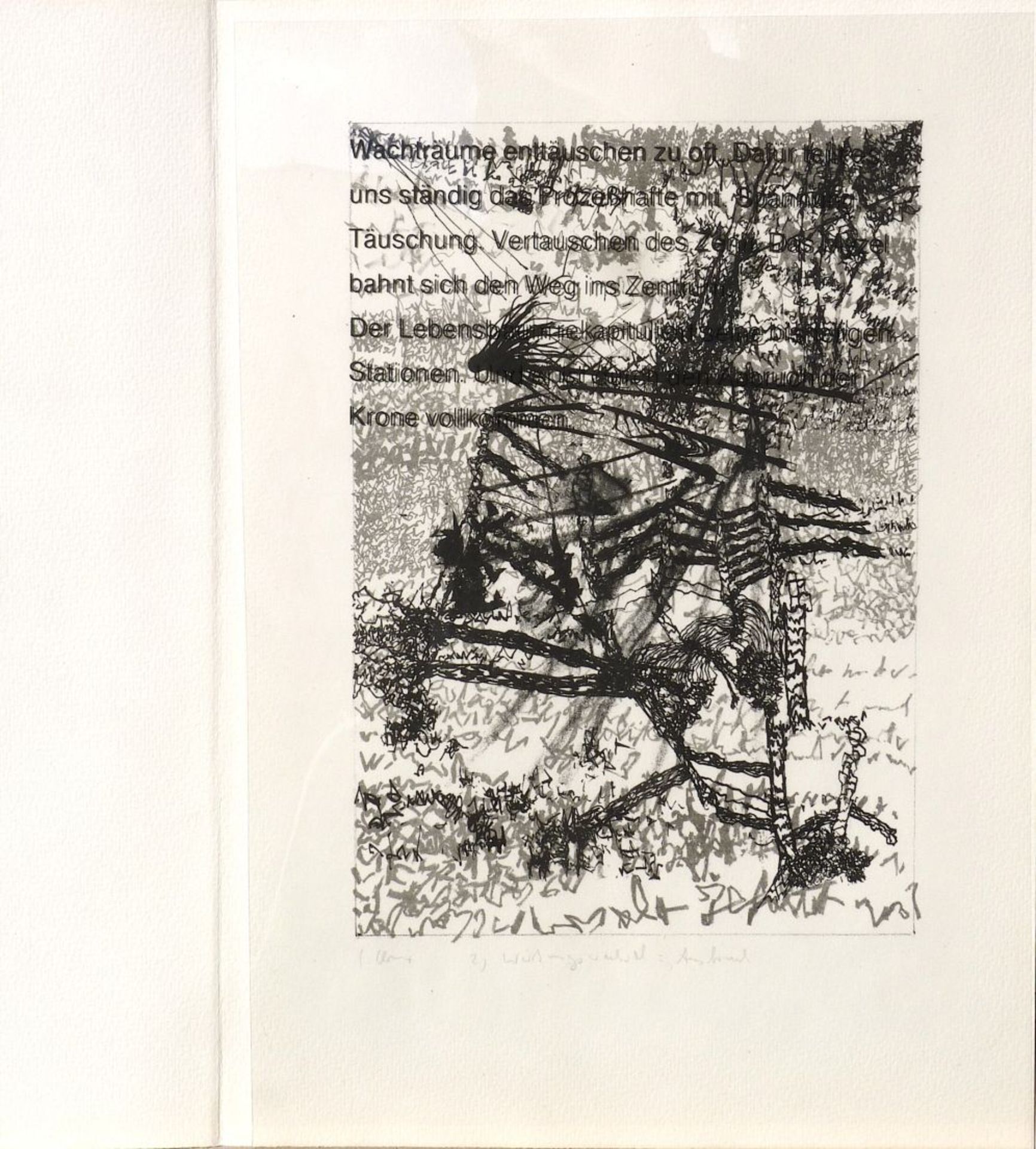 Claus/Sobolewski, Calrfriedrich/Klaus: "Dialoge II", 1990 - Bild 6 aus 13