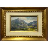 Oil painting on canvas board. Elvira Del Giudice. Mountain landscape 12x20. Signed on the lower left