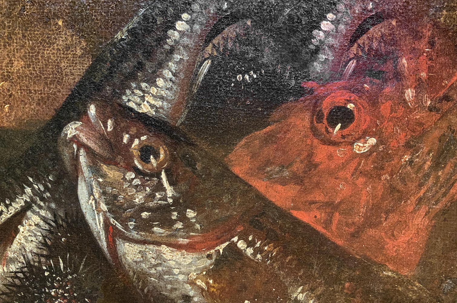 Oil painting on canvas. Giuseppe Recco (Naples, 1634 - Milan, 1695), Still life of fish. 67x67 - Image 3 of 5