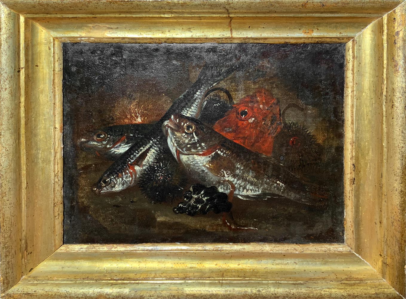Oil painting on canvas. Giuseppe Recco (Naples, 1634 - Milan, 1695), Still life of fish. 67x67