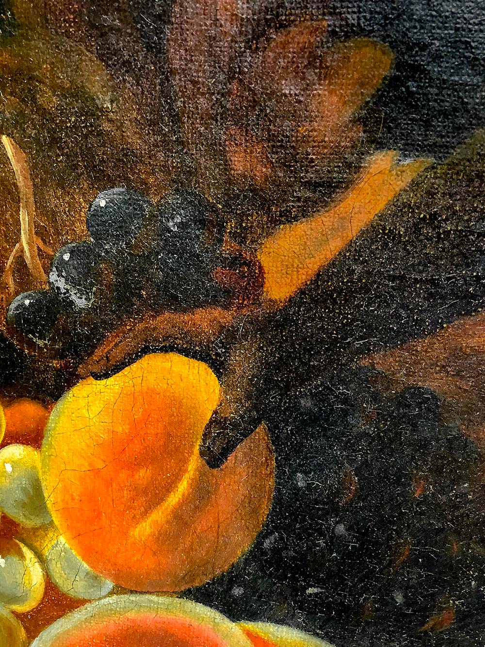 Oil painting on canvas. All. by Antonio Maria Vassallo (Genoa, 1620-Milan, 1672). Monkey and fruit. - Image 4 of 5