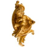 Cherubino in gilded terracotta leaf, gilded wooden shell. H 40 cm