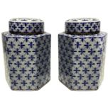 Pair of poutiche porcelain, hexagonal with blue decoration on white. H 23 cm.