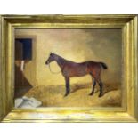 Oil paint on canvas depicting horse, nineteenth century. Cm 46x61. Signed on the lower right J. C.