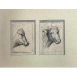 Couple of drawing in pencil depicting anonymous author of the study cows, nineteenth century.