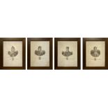 Four Popes engravings, engraver Antonio Nani (1803-1870). 24x18 cm, cm30x24 with frame.