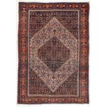 Senneh Carpet, Kurdistan Persian, Late 1800s, cm. 193 X 139. Beautiful sumptuous and elegant