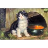 Oil painting on canvas depicting cat bowl. Signed Champion 2010. Cm 13x17,5 framed 22x27 cm.