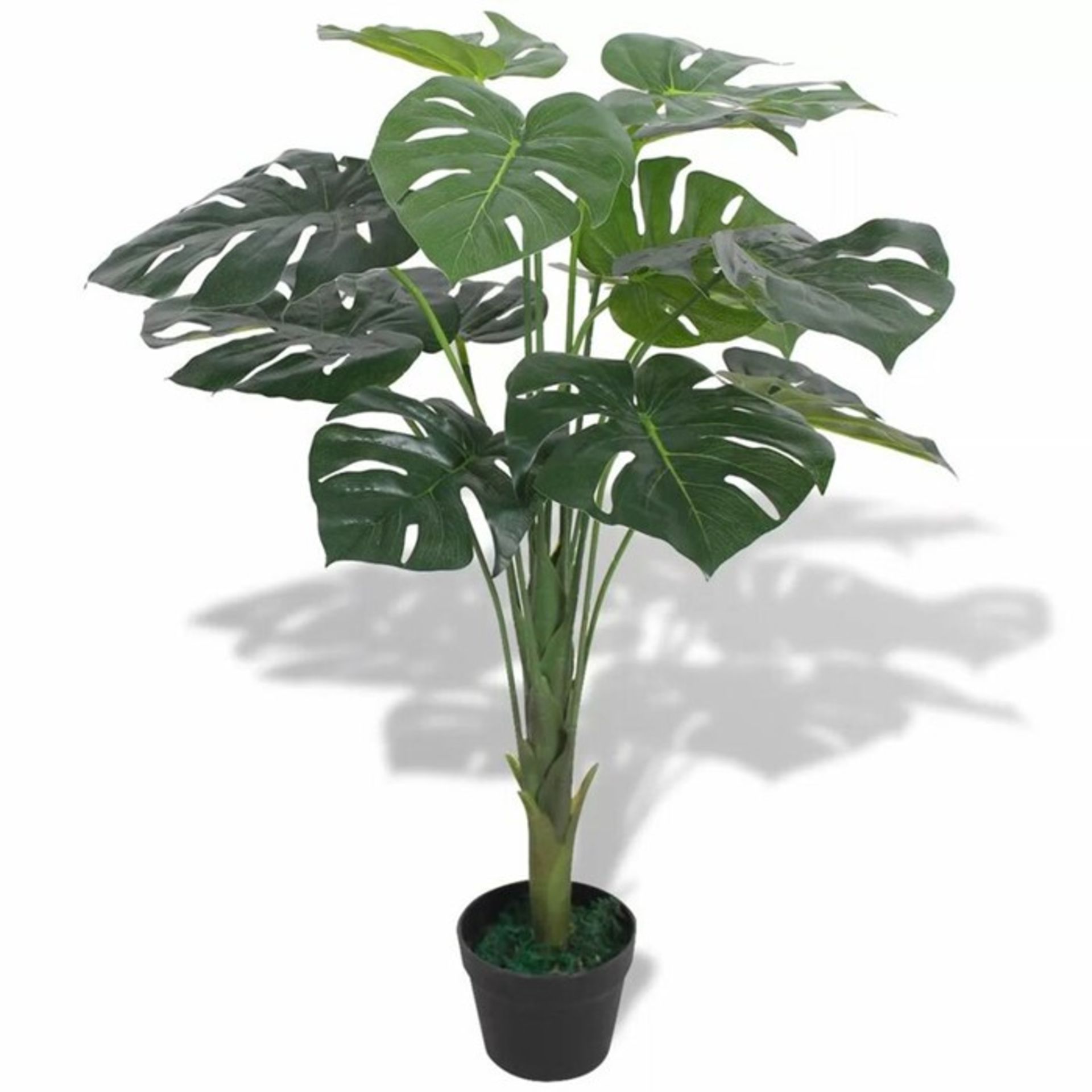 Bay Isle Home Monstera Floor Foliage Plant in Pot (VDAX4315 - 15961/33) 4F